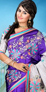 Pure Silk Saree Handloom Silk Saree, Exclusive Silk Sari